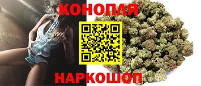 дмт Бийск