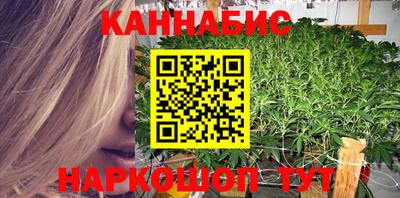 дмт Бийск