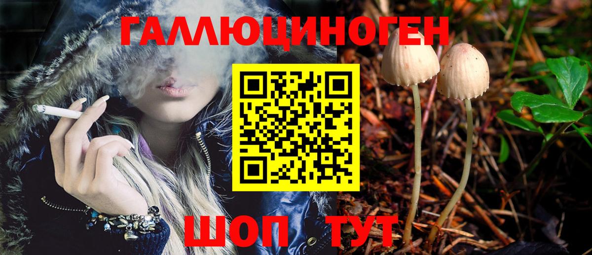 Галлюциногенные грибы Psilocybe  Псилоцибиновые грибы прущие грибы  Кемерово  Вход с VPN 